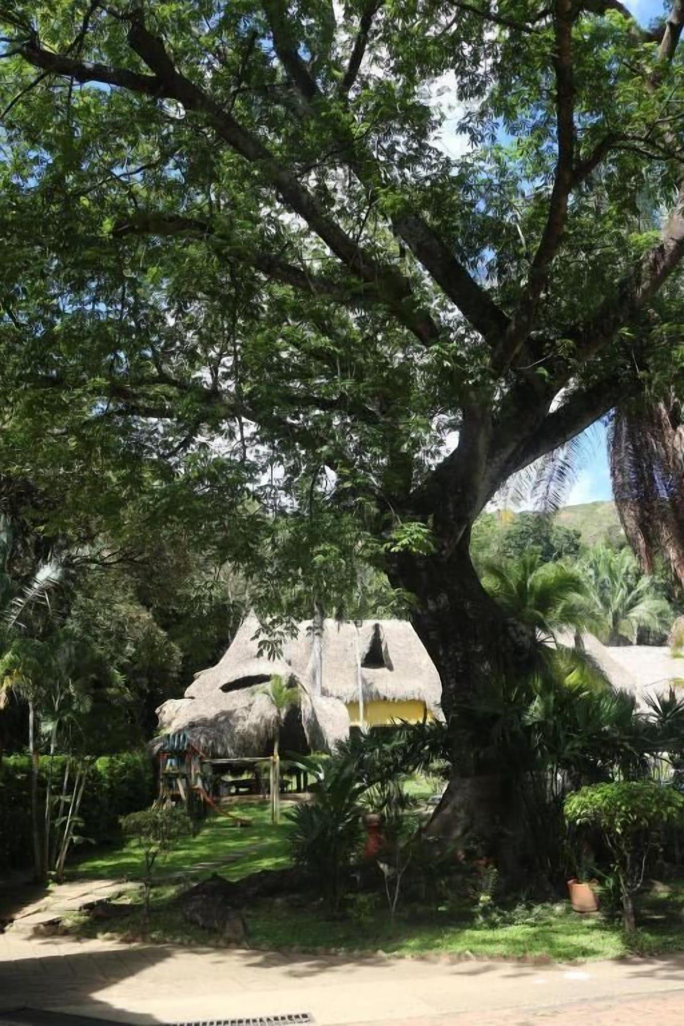 Comodidades del Alojamiento Eco Hotel El Reposo