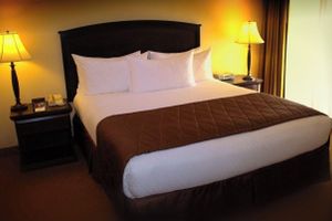 Alojamiento - High Rise Hotel on the Strip