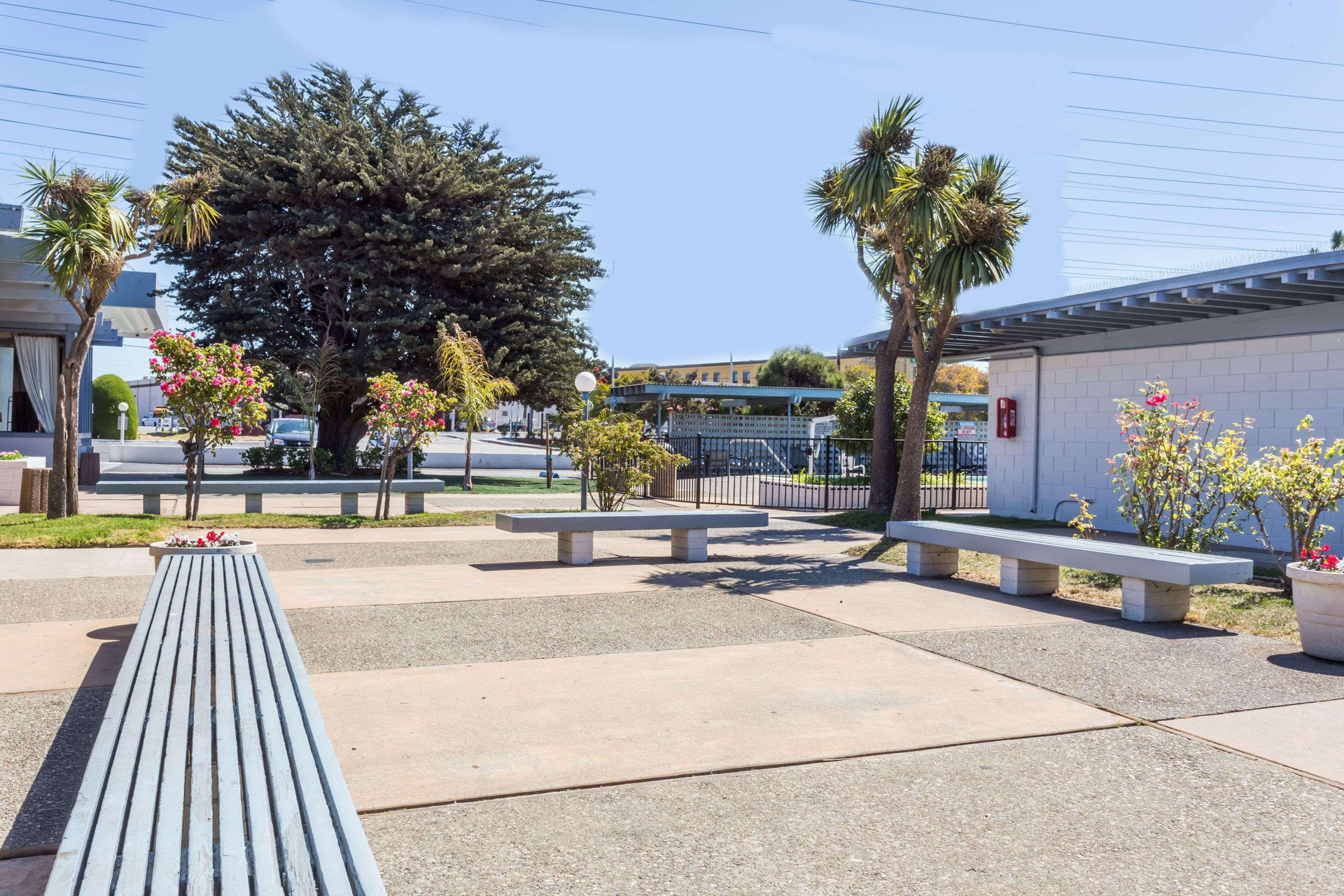 Vista Exterior Travelodge by Wyndham San Francisco Airport North