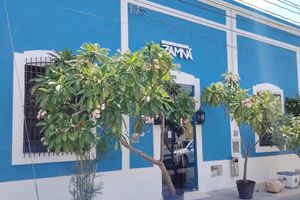 Alojamiento - Hotel Zamna