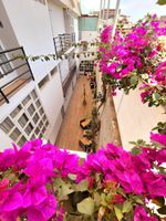 Alojamiento - Chikan Hoteles