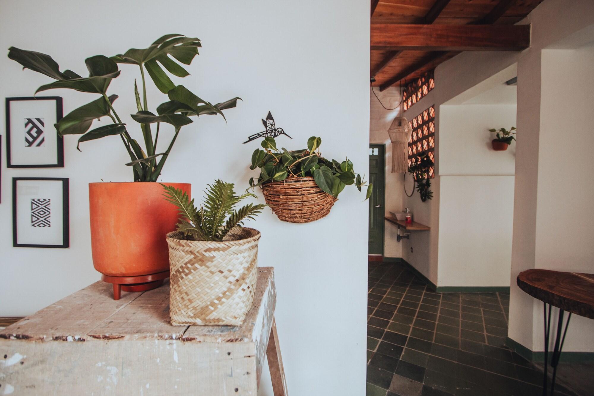 Vista Exterior Centro Hostel Medellín