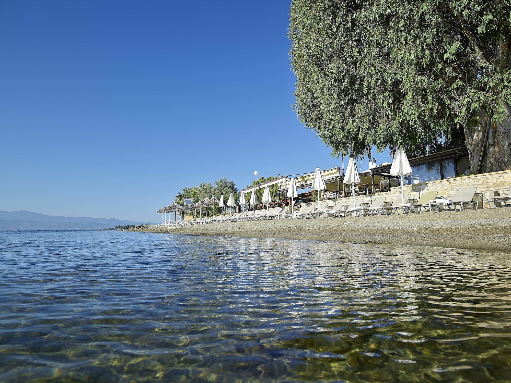 Playa Avantis Suites Hotel