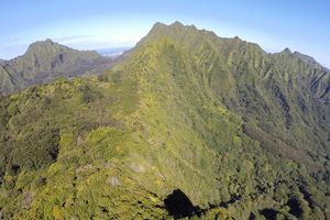 Actividad - Volcanic Rainforest Hike - Half-Day Tour
