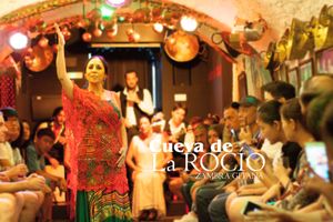 Actividad - Show de flamenco en Granada
