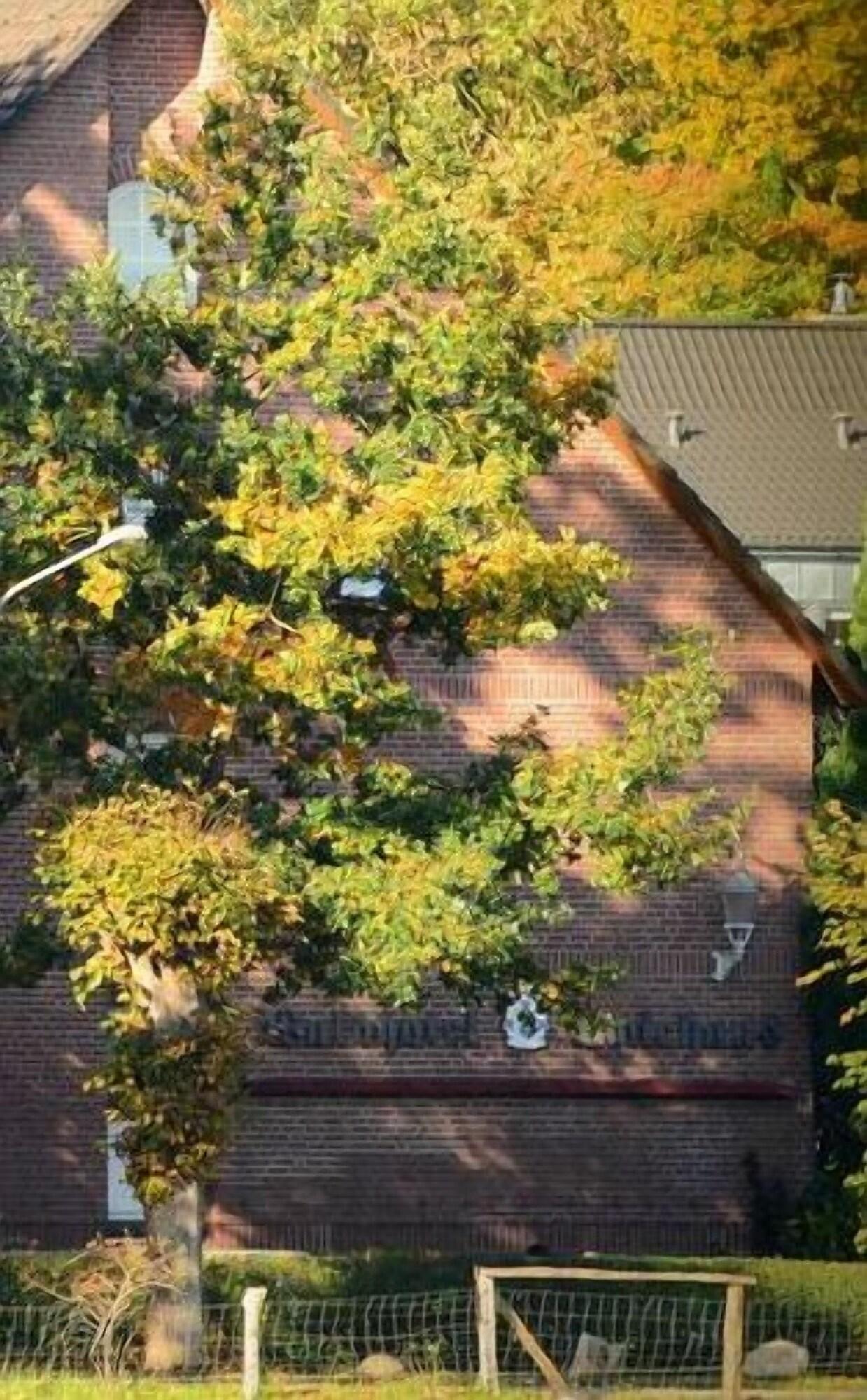 Vista Exterior Waldhotel Twiehaus