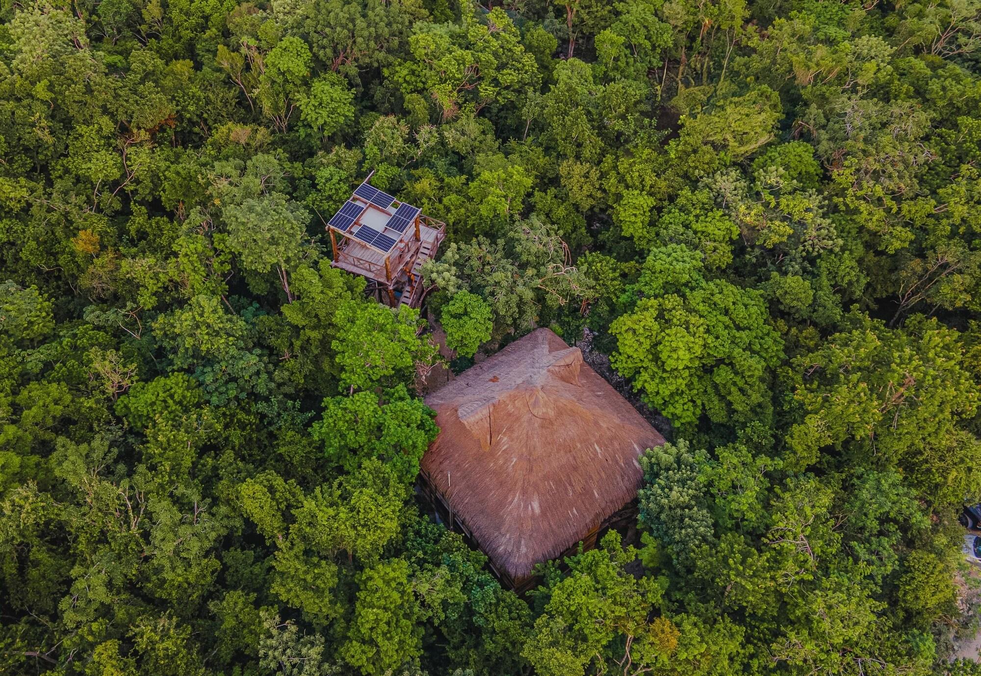 Varios Treehouse Tulum H2Ojos