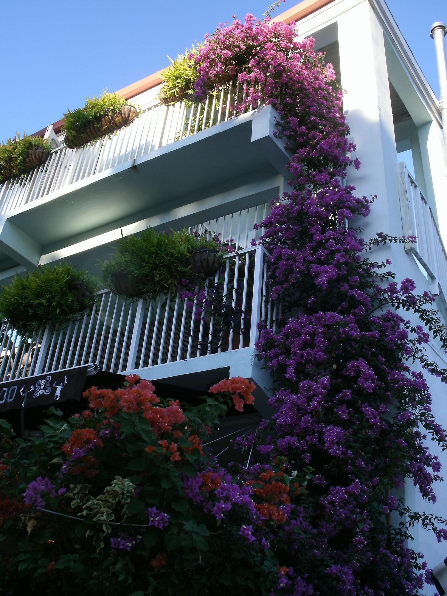 Vista Exterior Cruz Bay Boutique Hotel