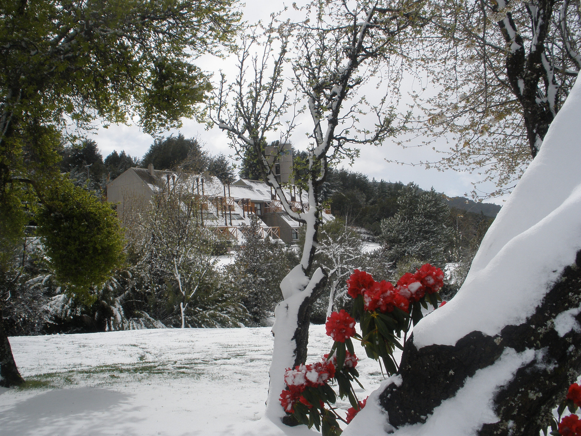 Vista Exterior DUT Bariloche con Maxisol