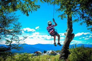Actividad - Canopy en Bariloche