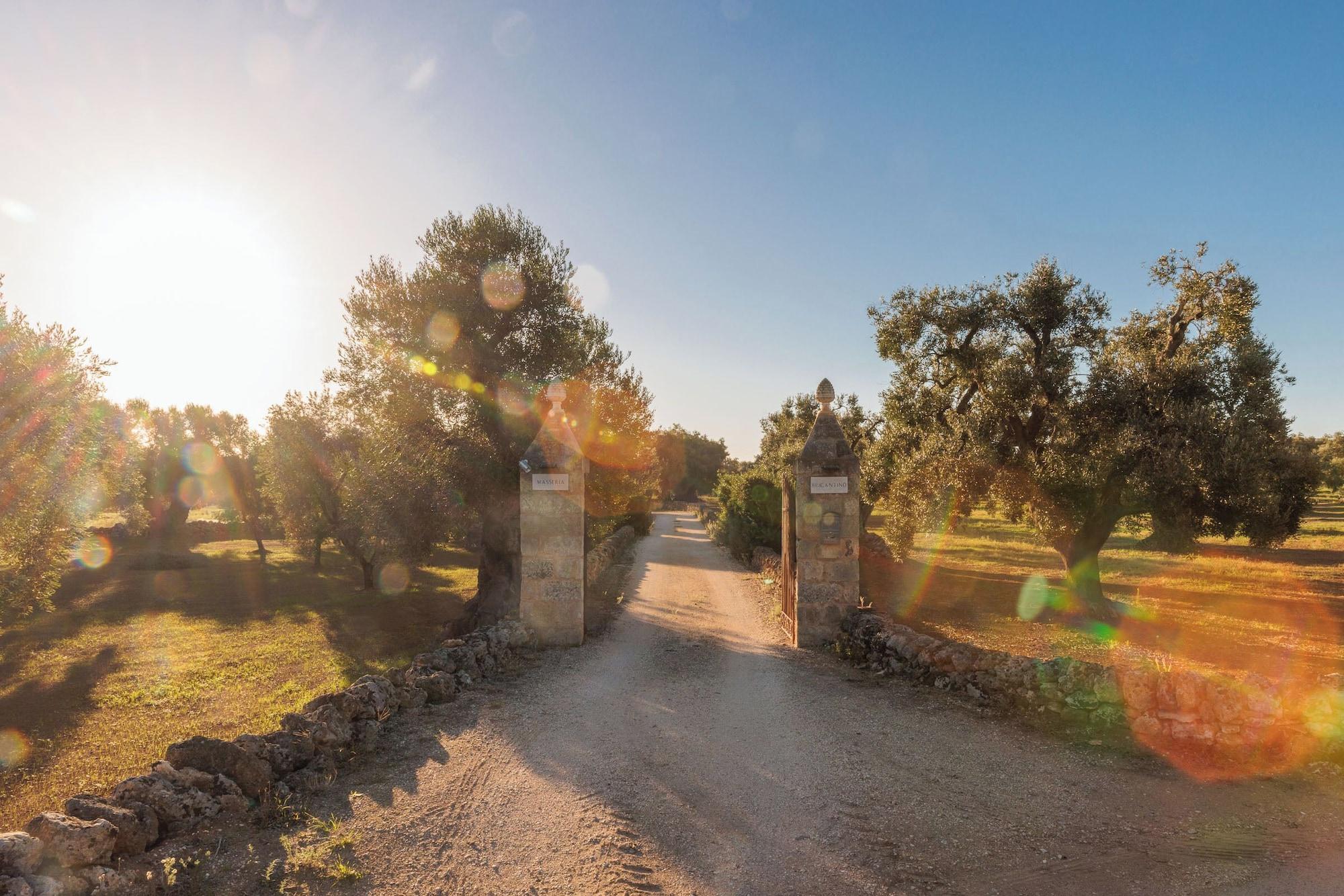 Vista Exterior Masseria Brigantino