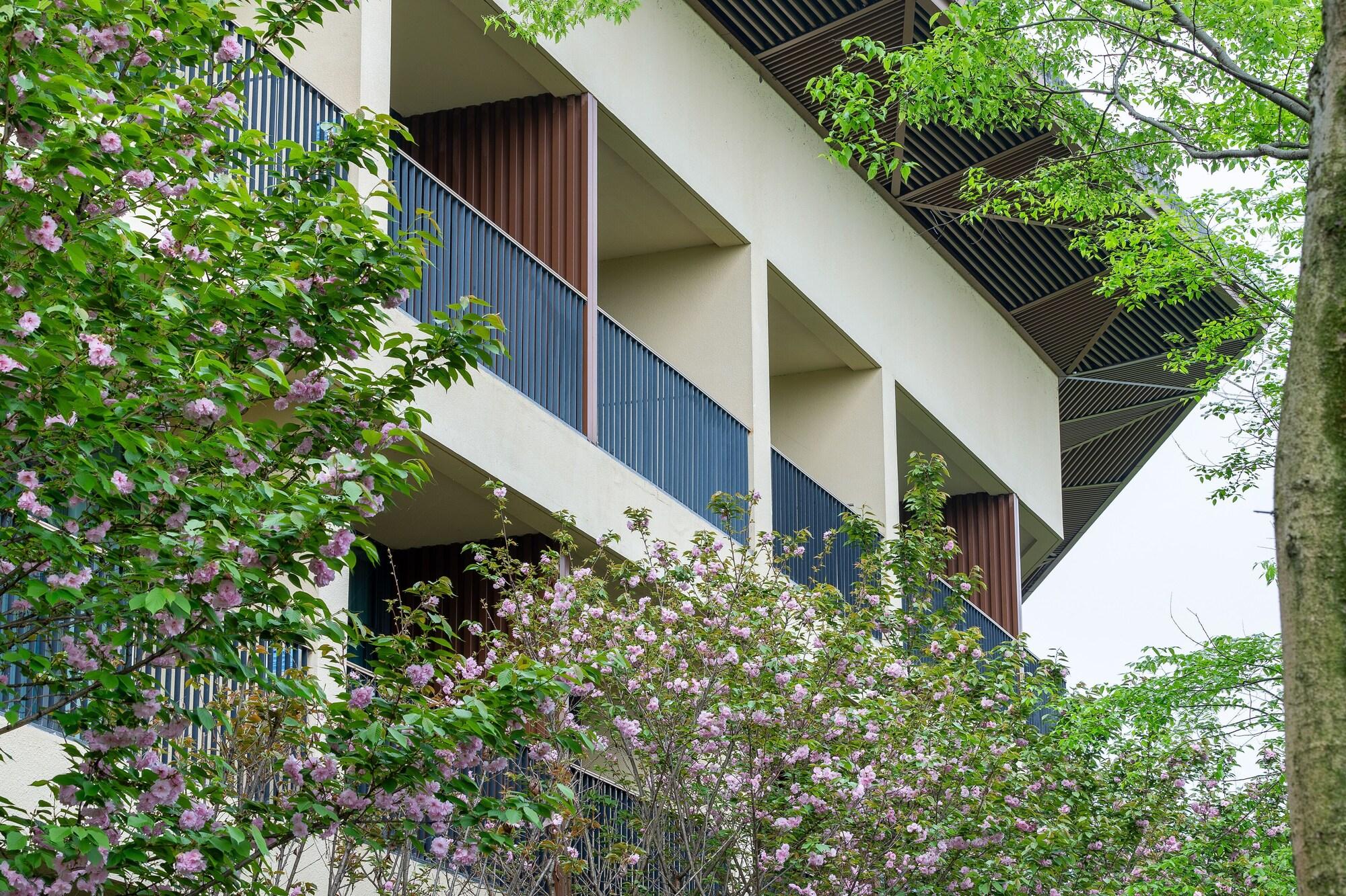 Vista Exterior Holiday Inn Express Emei Mountain by IHG