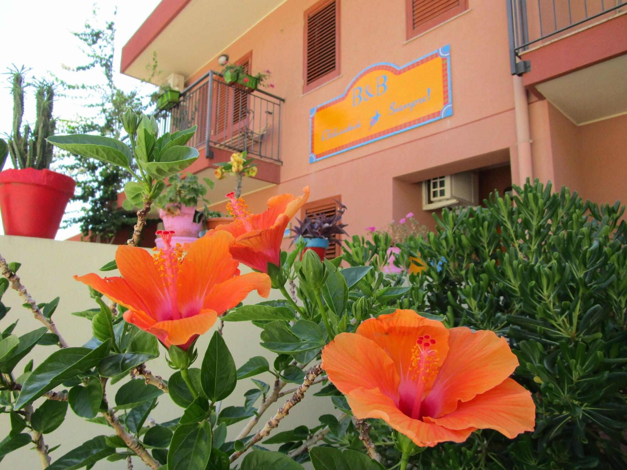 Varios B&B Felicidad Siempre