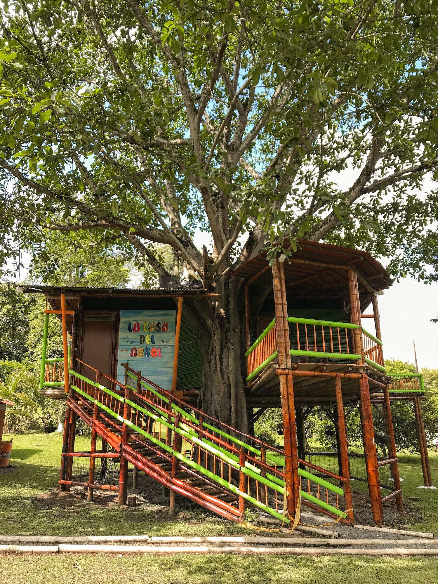 Varios Room in Lodge - Tree House Finca La Floresta Verde