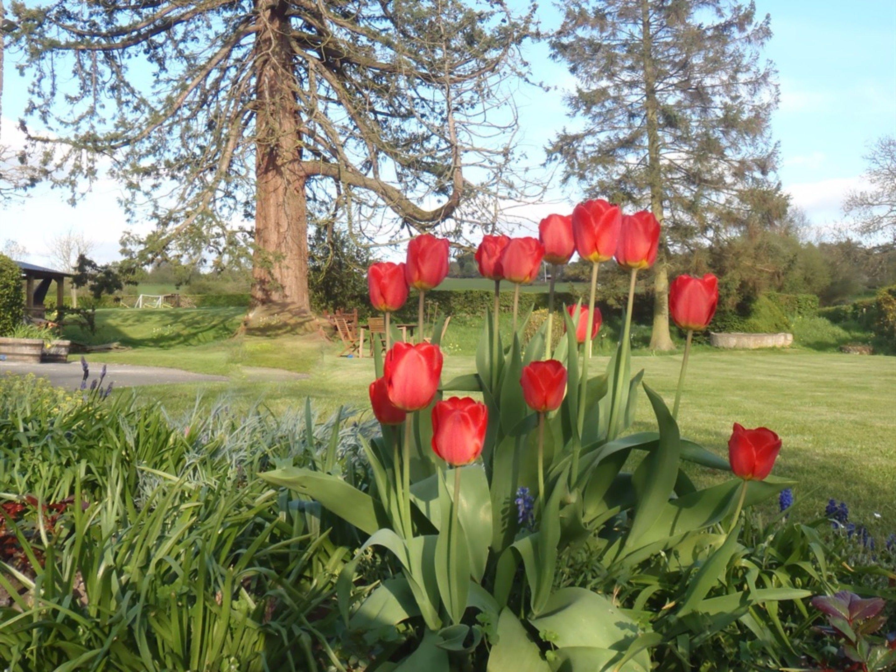 Varios The Bowens Bed & Breakfast