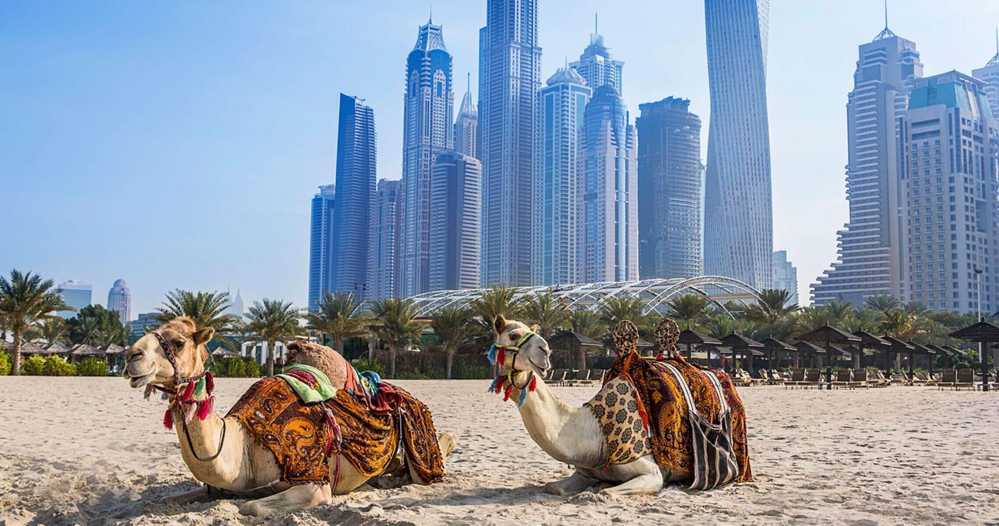 Playa Hilton Luxury Hotel – Rooms Only | Mandatory All-Inclusive Paid At Hotel