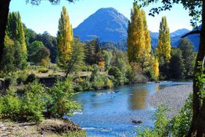 Actividad - De Bariloche a Villa La Angostura: Descubre el Encanto del Cerro Bayo