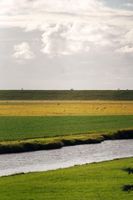 Renta temporal - FEWO auf dem Lande