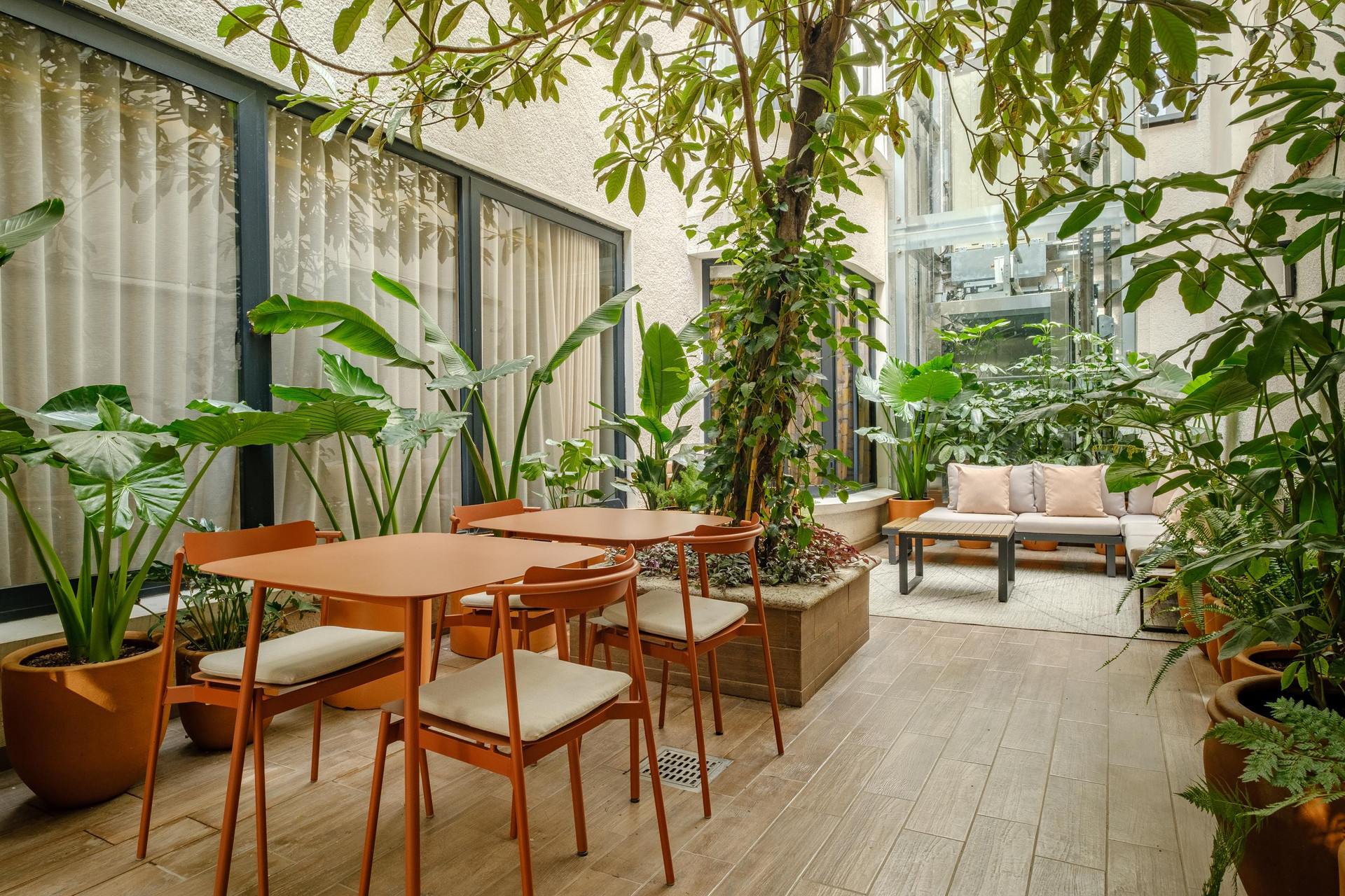 Varios District Polanco By Lumina