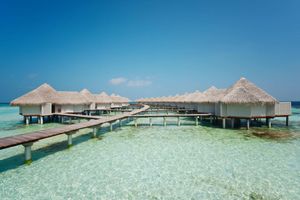 Alojamiento - Drift Thelu Veliga Retreat