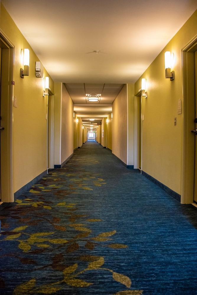 Vista Lobby Candlewood Suites : Overland Park - W 135th St by IHG