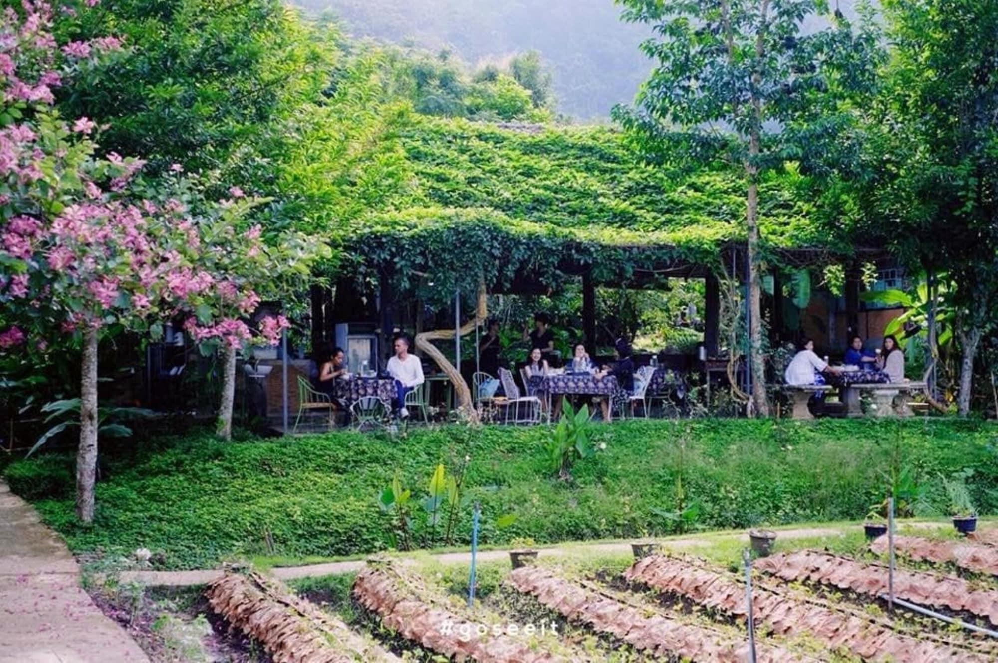 Restaurant Lhongkhao Samoeng By Chi Villa
