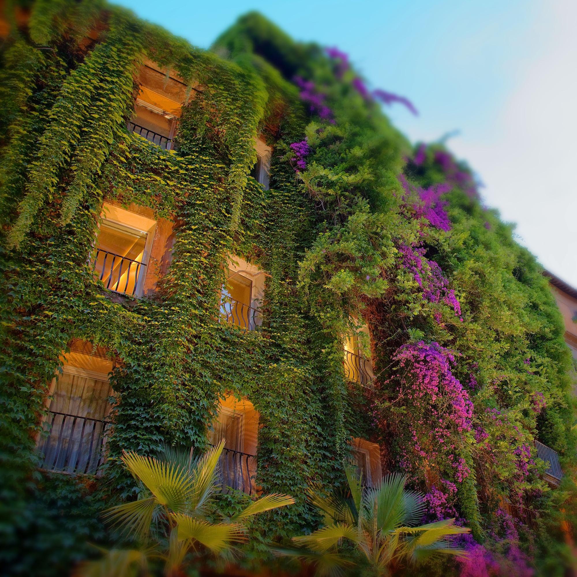 Vista Exterior Bio Hotel Raphaël