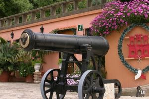 Actividad - Tour de un día completo a Gibraltar