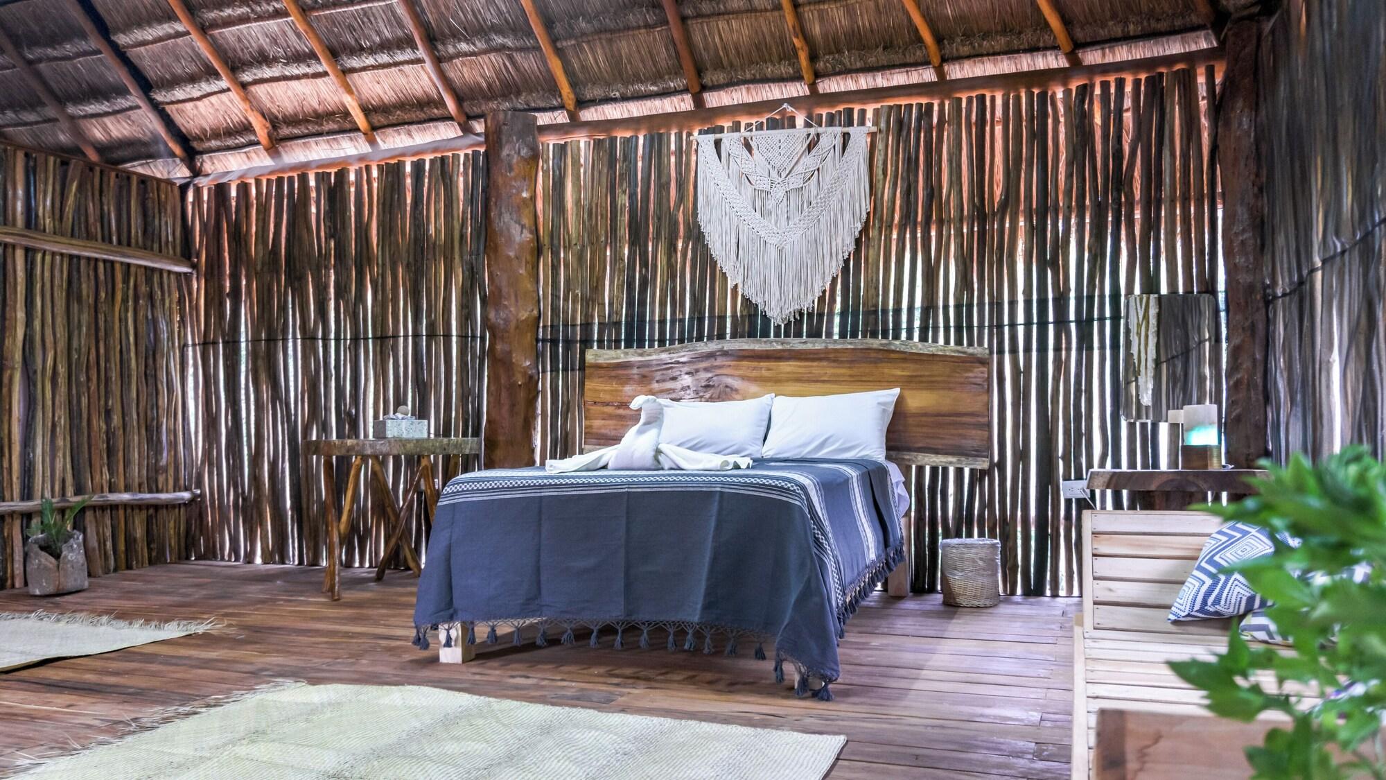 Varios Jungla & Estrellas