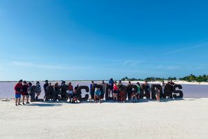 Actividad - Las Coloradas, Playa Cancunito y Rio Lagartos