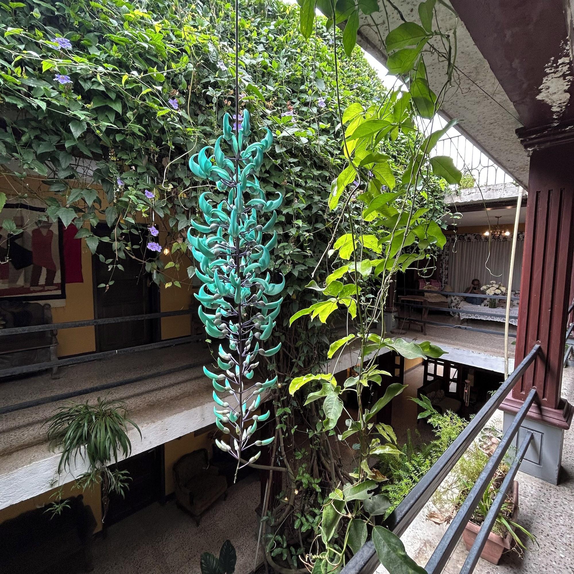 Comodidades del Alojamiento Hotel los Nazarenos