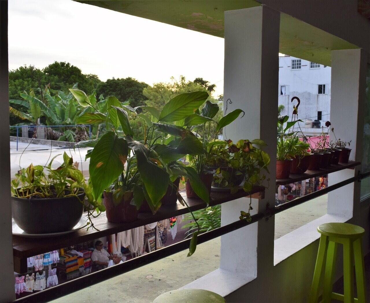 Varios Hostel in Playa del Carmen
