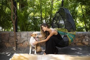 Alojamiento - Thompson Zihuatanejo, A Beach Resort, by Hyatt