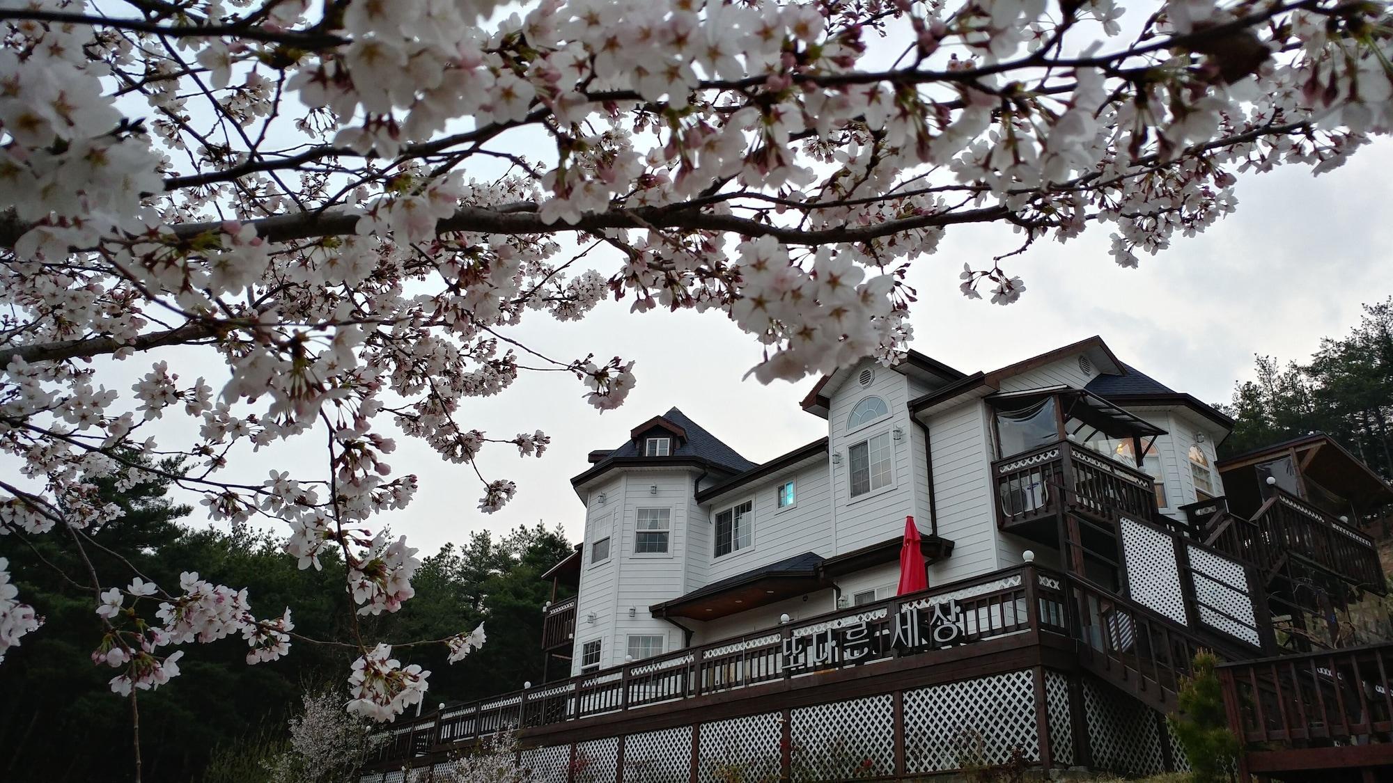 Vista Exterior Another World Pension