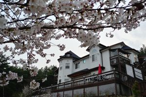 Alojamiento - Another World Pension