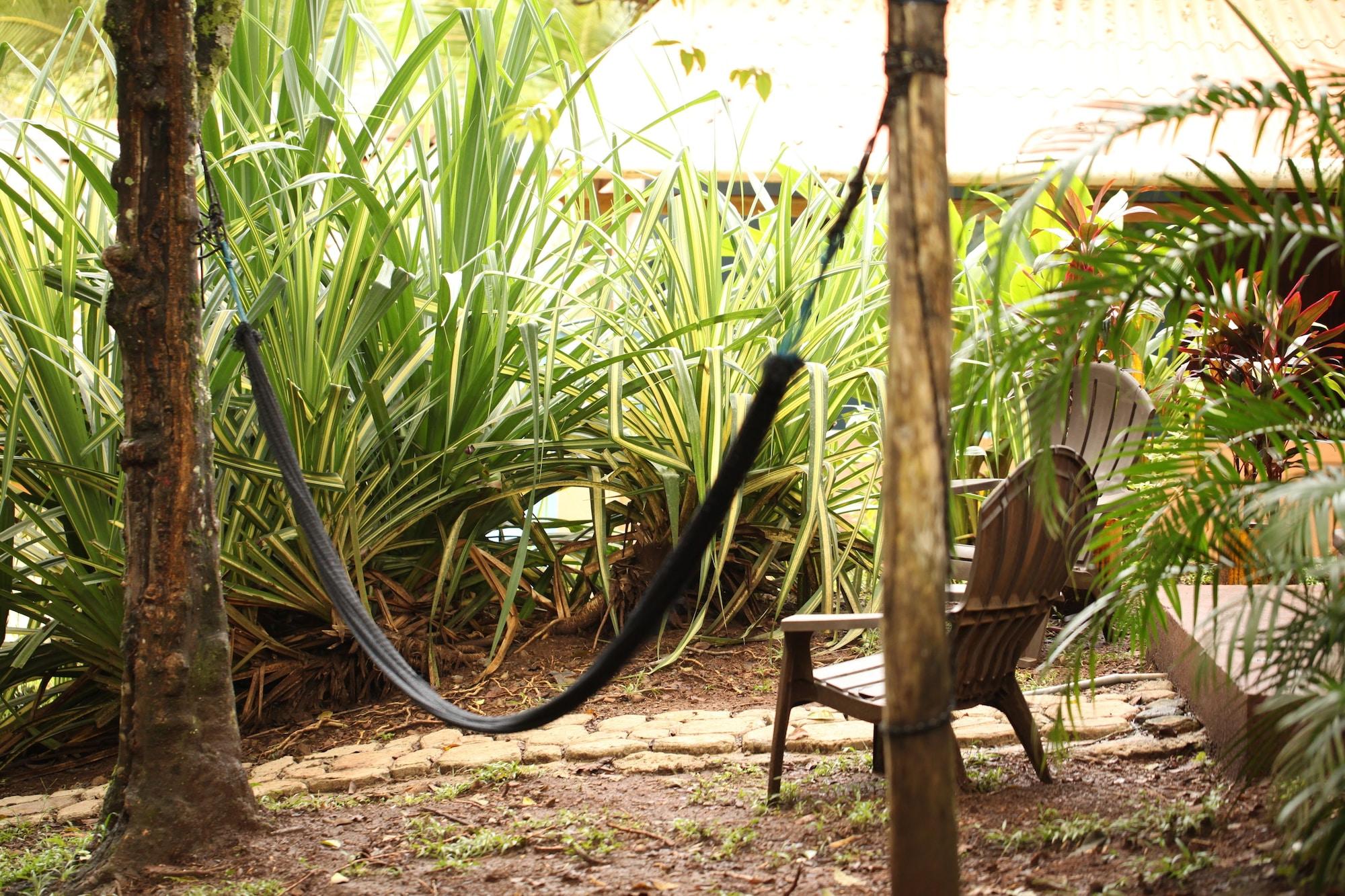 Vista Exterior Tiki Lodge Bar & Restaurant - Hostel