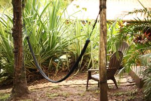 Alojamiento - Tiki Lodge Bar & Restaurant - Hostel