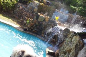 Alojamiento - CasaCuento