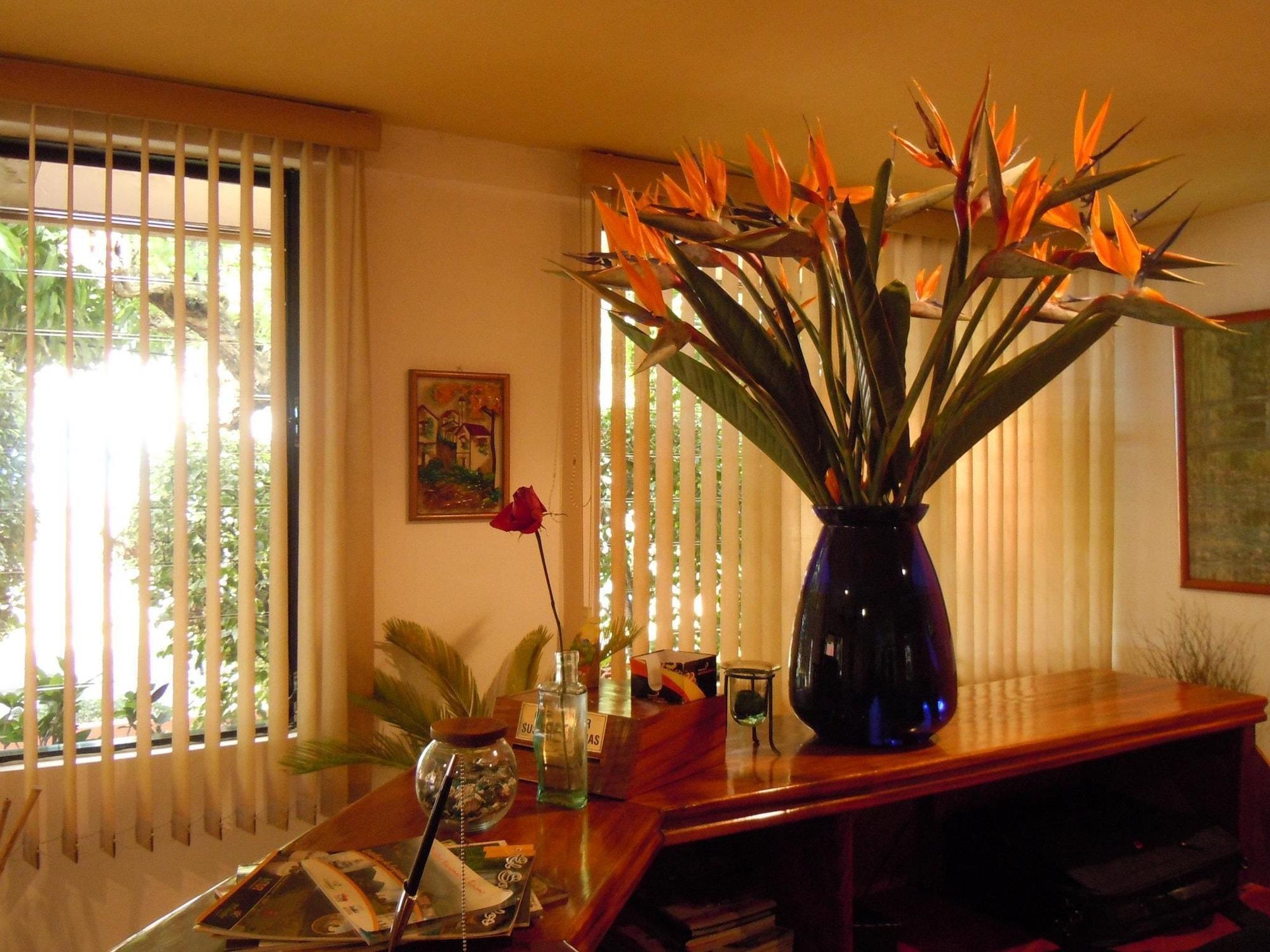 Vista Lobby Hostal Verona