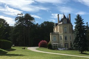 Alojamiento - Chateau Vary