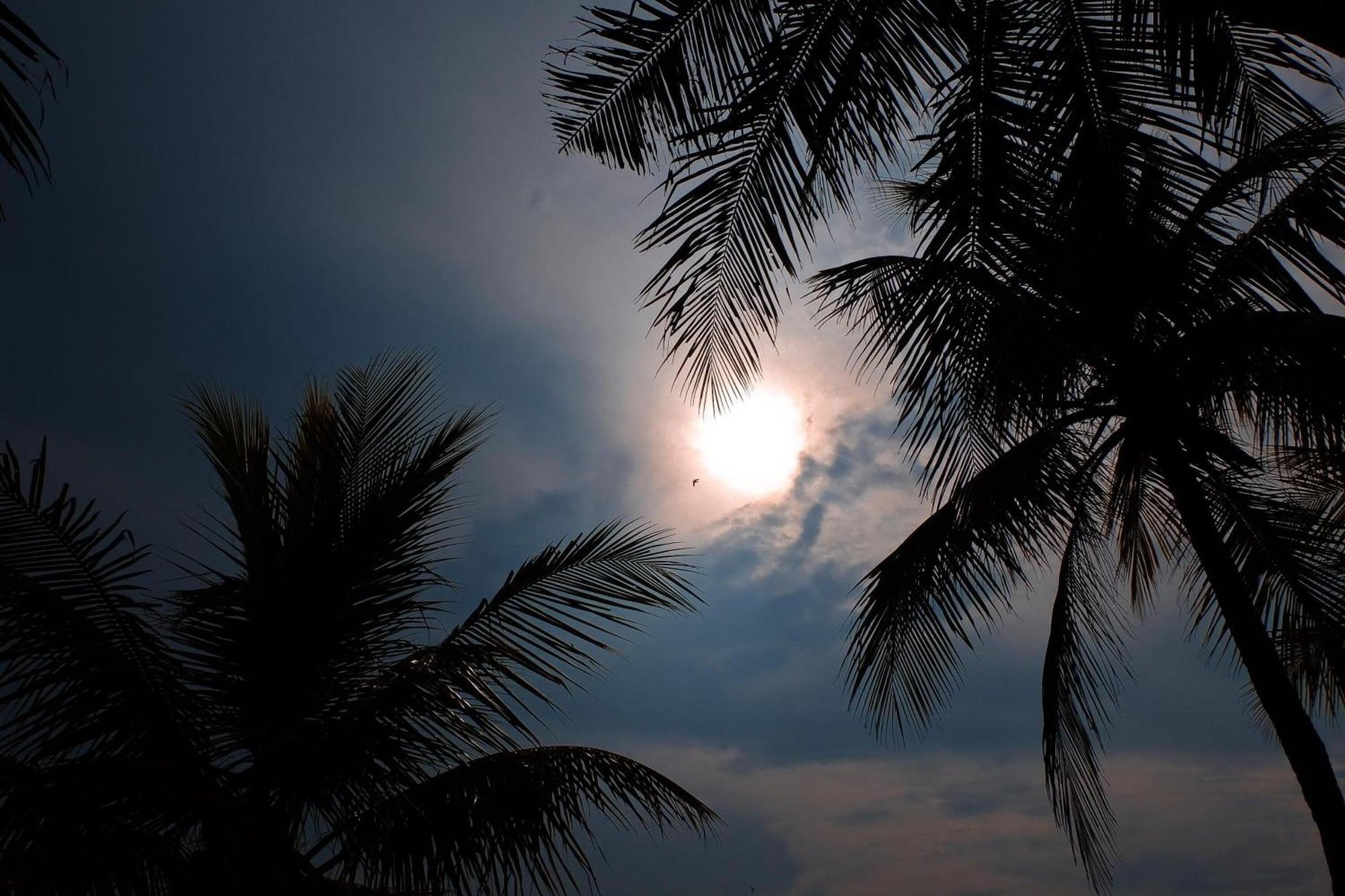 Playa Umadewi Surf & Retreat