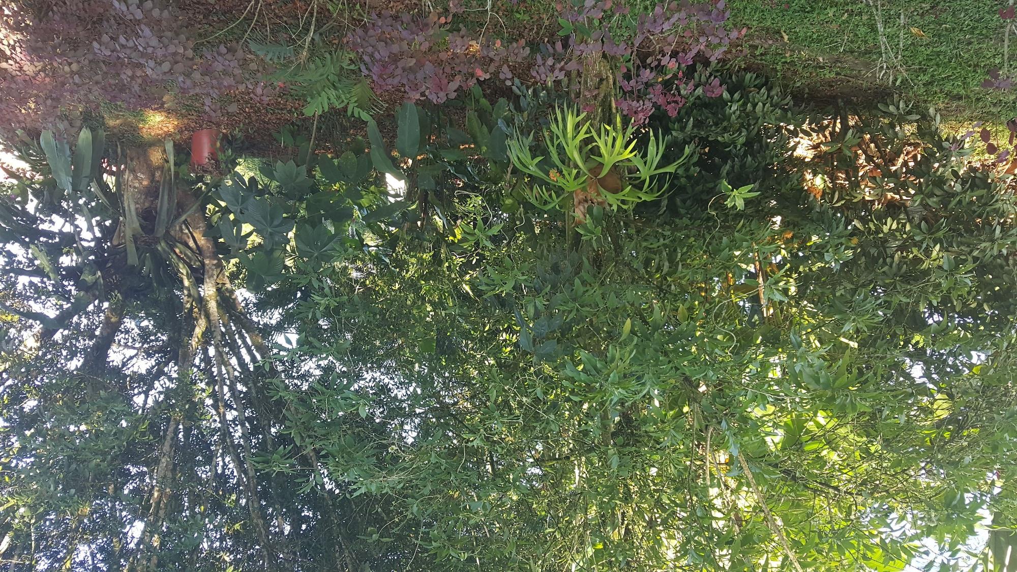 Comodidades del Alojamiento Hotel Vista al Tortuguero