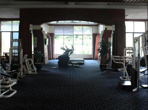 Gimnasio Mercure Mandalay Hill Resort