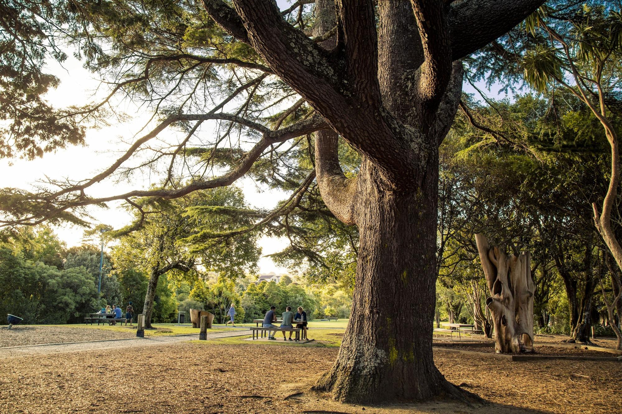 Comodidades del Alojamiento Quest Albany