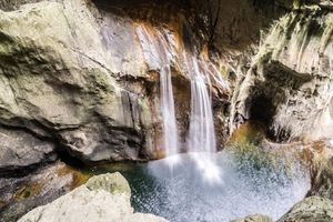 Actividad - Privado - Excursión de día completo a Lipica desde Liubliana