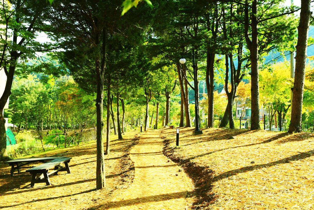 Instalaciones Recreativas Kensington Resort Gapyeong (Formerly known as Cheo