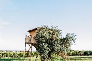 Alquiler Vacacional - Conversas de Alpendre