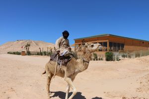 Alojamiento - Dakhla Camp
