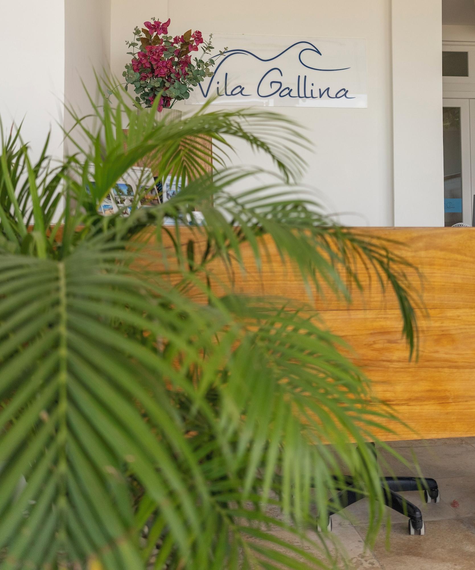 Vista Lobby VILA GALLINA POUSADA