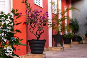 Alojamiento - Pousada Vento Terral